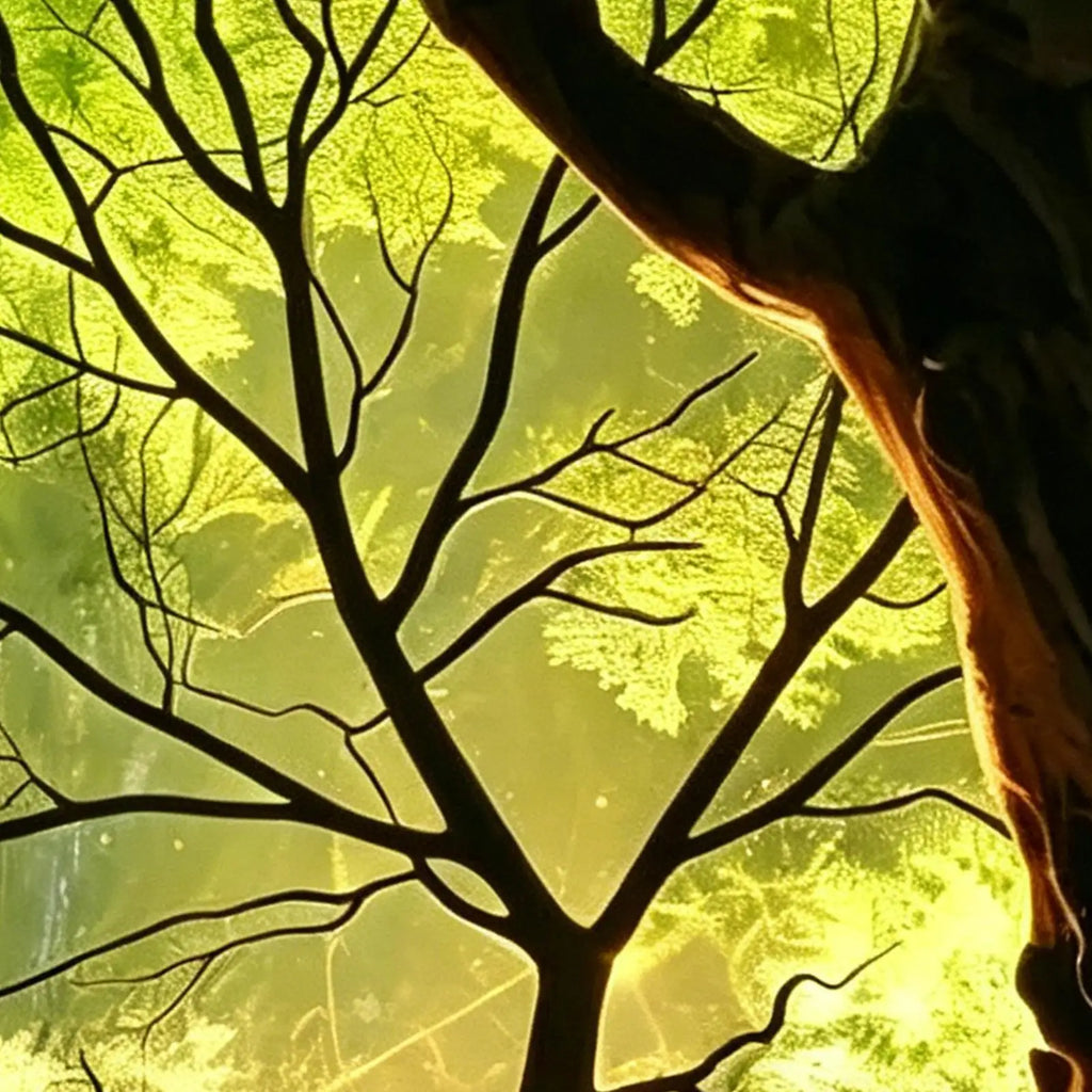 Luz Nocturna Decorativa Bosque – Ambiente Hogar